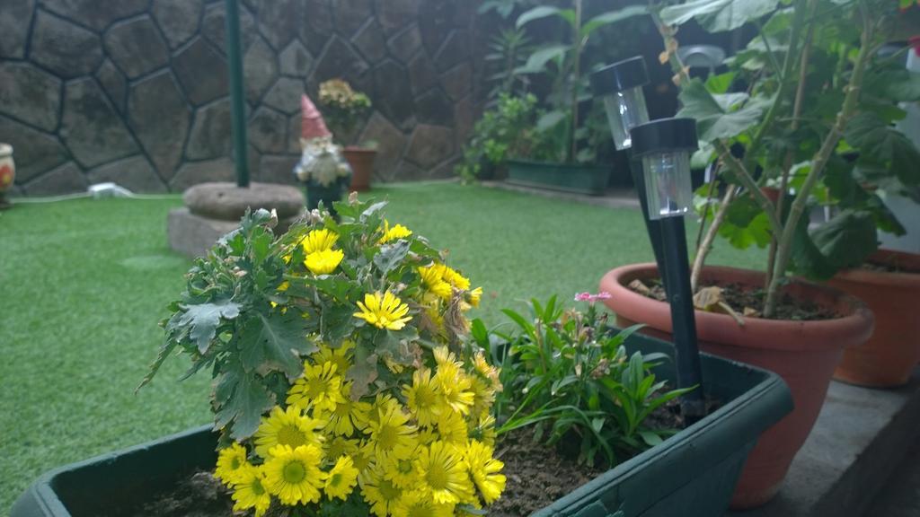 Bed & Breakfast Blumen Haus Σαντιάγκο Εξωτερικό φωτογραφία