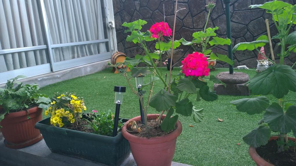 Bed & Breakfast Blumen Haus Σαντιάγκο Εξωτερικό φωτογραφία