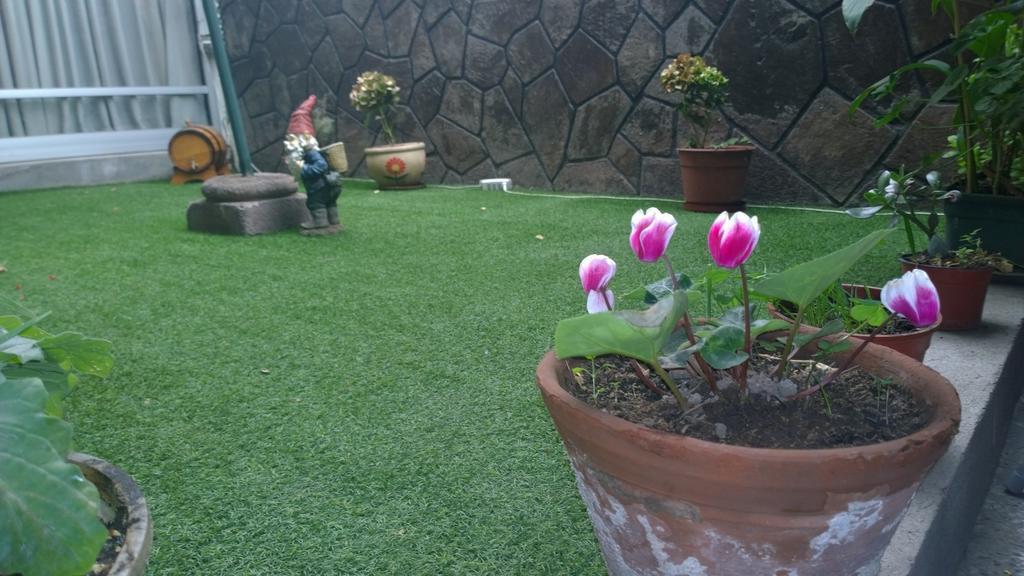 Bed & Breakfast Blumen Haus Σαντιάγκο Εξωτερικό φωτογραφία